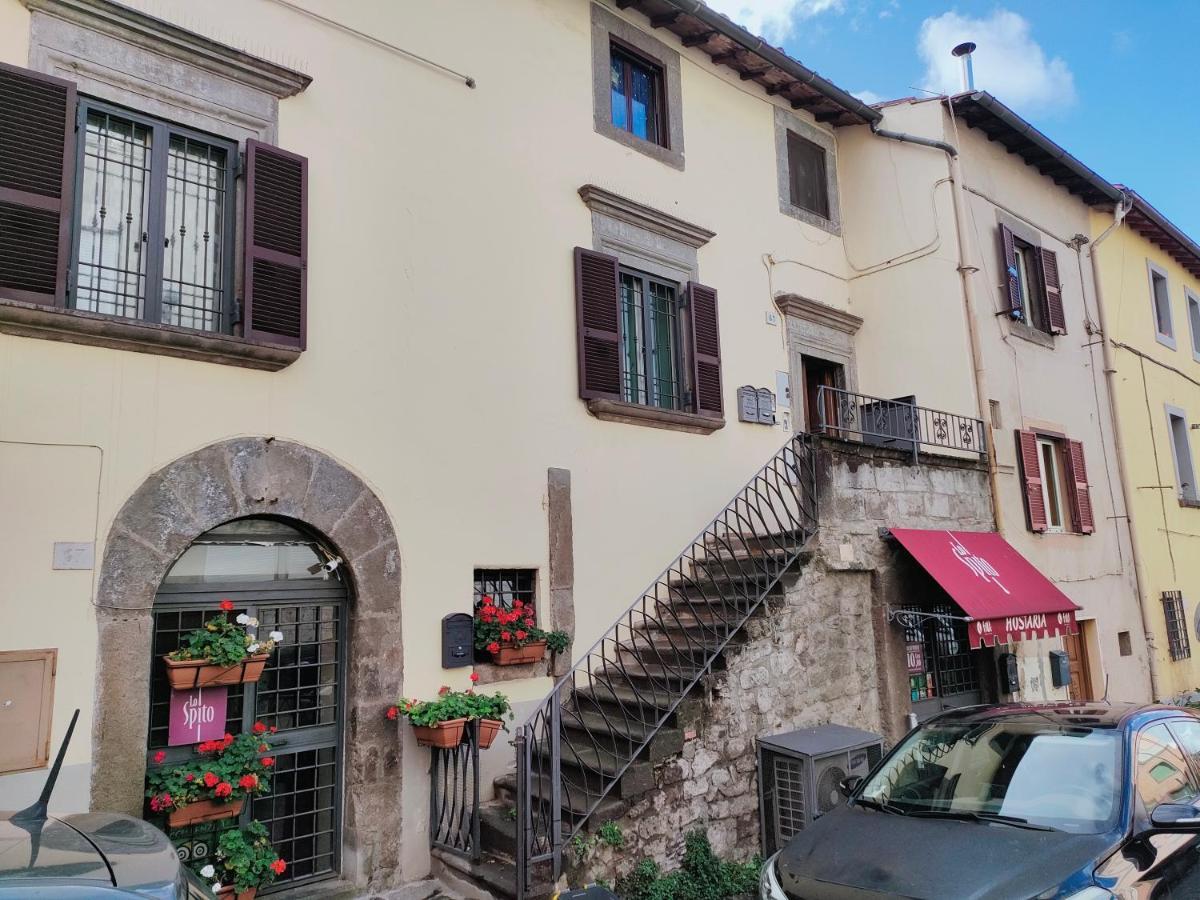 Francigena Viterbo Apartment Con Parcheggio Gratuito A Soli 2 Minuti Eksteriør billede
