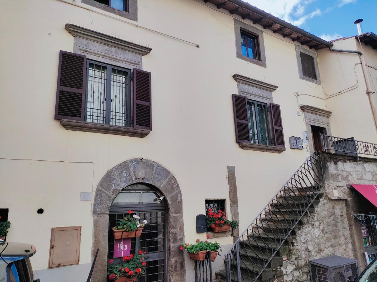 Francigena Viterbo Apartment Con Parcheggio Gratuito A Soli 2 Minuti Eksteriør billede